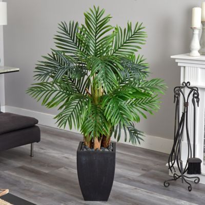 Image showing  5 ft. Kentia Artificial Palm Tree in Black Planter