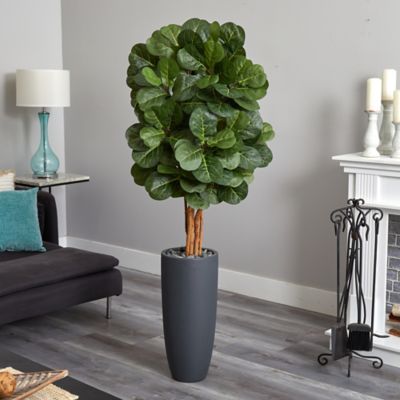 Image showing  5.5 ft. Fiddle Leaf Artificial Tree in Gray Cylinder Planter