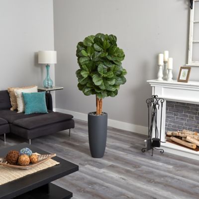 Image showing  5.5 ft. Fiddle Leaf Artificial Tree in Gray Cylinder Planter