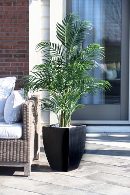 Image showing  4.5 ft. Indoor/Outdoor UV-Resistant Areca Artificial Palm Tree with Black Wash Planter