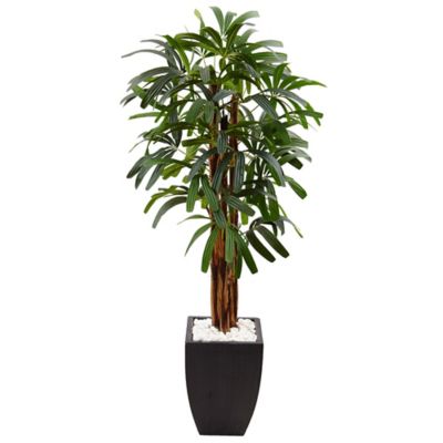 Nearly Natural 5.5 ft. Raphis Palm Artificial Tree in Black Planter