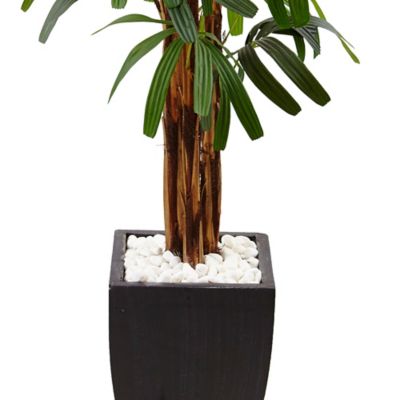 Image showing  5.5 ft. Raphis Palm Artificial Tree in Black Planter