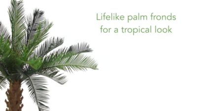 Image showing  28 in. Silk Cycas Plant