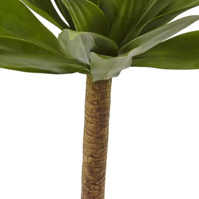 Image showing  32 in. Agave Plant with Stem