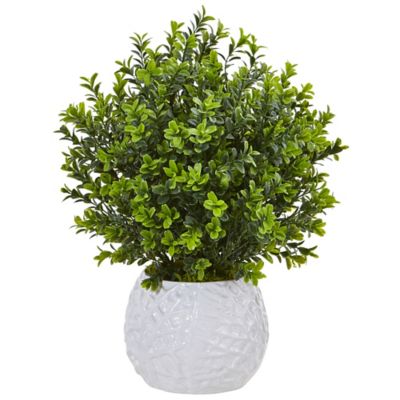 Nearly Natural 17 in. Indoor/Outdoor Artificial Boxwood Evergreen Silk Plant in White Vase