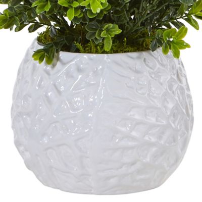 Image showing  17 in. Silk Indoor/Outdoor Boxwood Evergreen Plant in White Vase