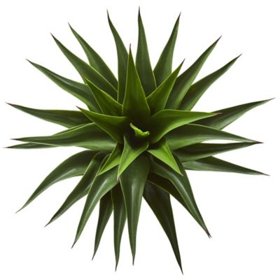 Image showing  28 in. Faux Agave Plant