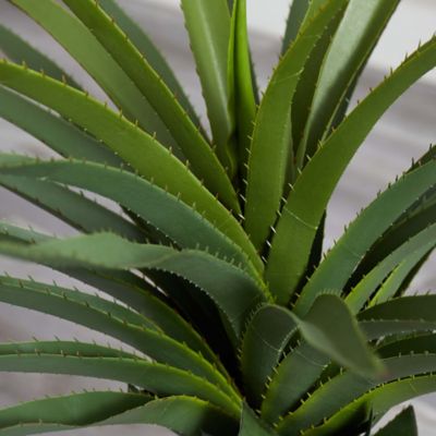Image showing  3.5 ft. Faux Agave Plant
