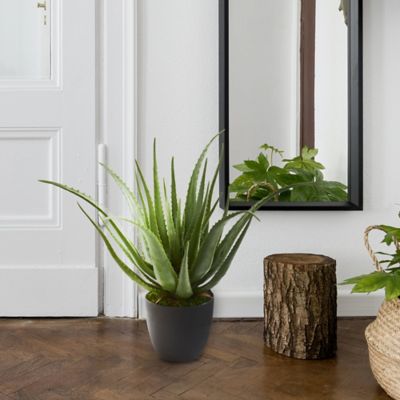 Image showing  26 in. Artificial Aloe Plant