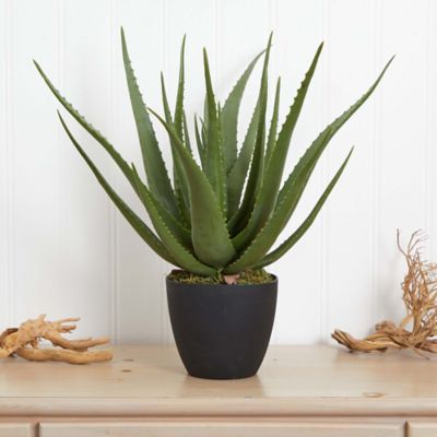Image showing  26 in. Artificial Aloe Plant