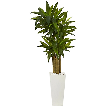 Nearly Natural 5 ft. Cornstalk Dracaena Artificial Plant in White Tower Planter