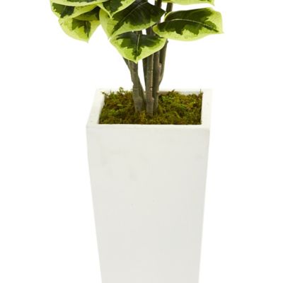 Image showing  4 in. Variegated Rubber Leaf Artificial Plant in White Tower Vase