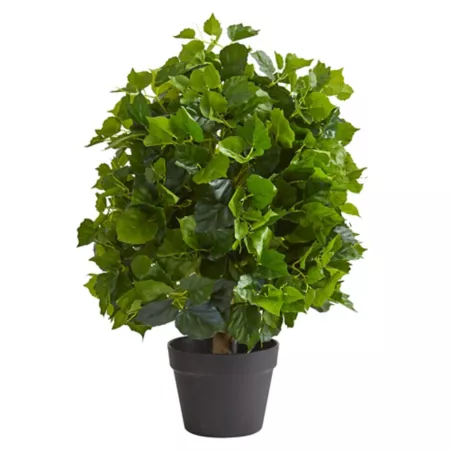 2 Foot Almost Natural Artificial Ficus Tree Artificial Plants & Flowers