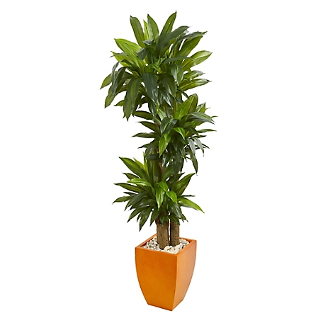 Nearly Natural 5.5 ft. Dracaena Artificial Plant in Orange Square Planter, Real Touch