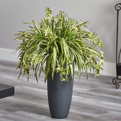 Image showing  33 in. Artificial Spider Plant in Cylinder Planter