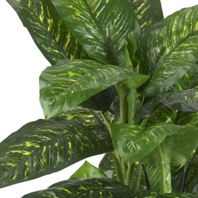 Image showing 1 th Nearly Natural 5 ft. Dieffenbachia Silk Plant, Real Touch