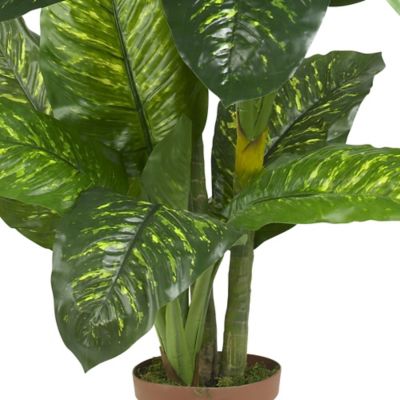 Image showing 2 th Nearly Natural 5 ft. Dieffenbachia Silk Plant, Real Touch
