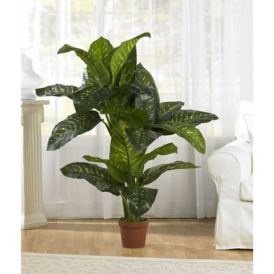 Image showing 3 th Nearly Natural 5 ft. Dieffenbachia Silk Plant, Real Touch