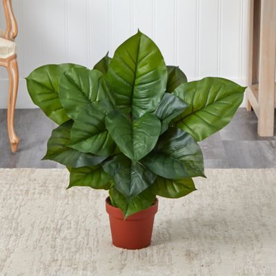 Image showing  18 in. Silk Philodendron Plant with Real Touch