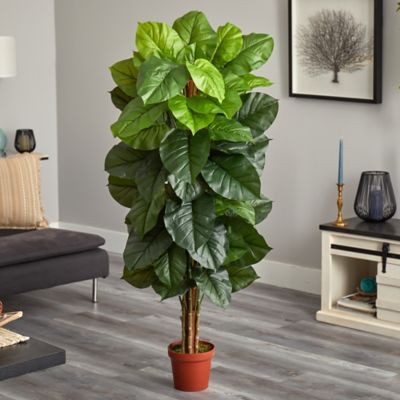 Image showing  63 in. Large Leaf Philodendron Silk Plant with Real Touch