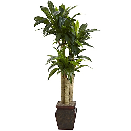 Nearly Natural 4.5 ft. Cornstalk Dracaena Silk Plant with Vase, Real Touch