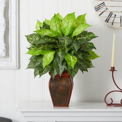 Image showing  23 in. Silk Dieffenbachia Plant in Decorative Vase