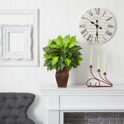 Image showing  23 in. Silk Dieffenbachia Plant in Decorative Vase