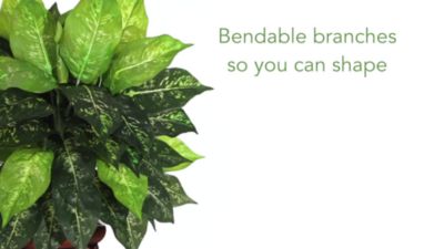 Image showing  23 in. Silk Dieffenbachia Plant in Decorative Vase