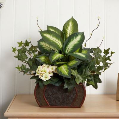 Image showing  Faux African Violet, Dieffenbachia and Ivy with Chest Silk Plant