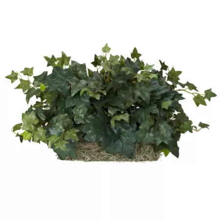 8" Almost Natural Silk Ivy Ledge Plant Raised on Moss Artificial Plants & Flowers