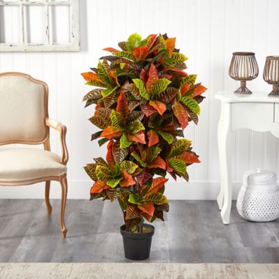Image showing  56 in. Croton Artificial Plant, Real Touch