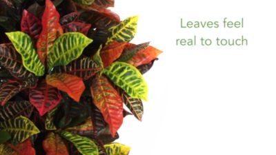 Image showing  56 in. Croton Artificial Plant, Real Touch
