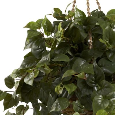 Image showing  29 in. Artificial Philo Hanging Basket