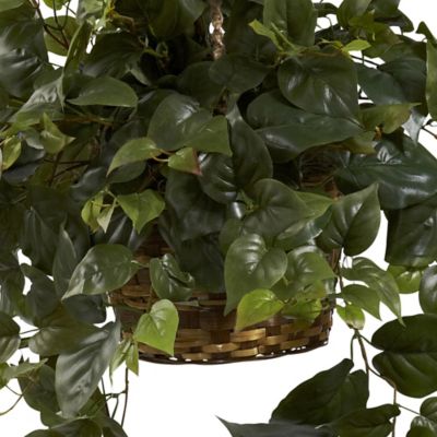 Image showing  29 in. Artificial Philo Hanging Basket