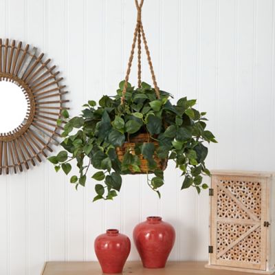 Image showing  29 in. Artificial Philo Hanging Basket