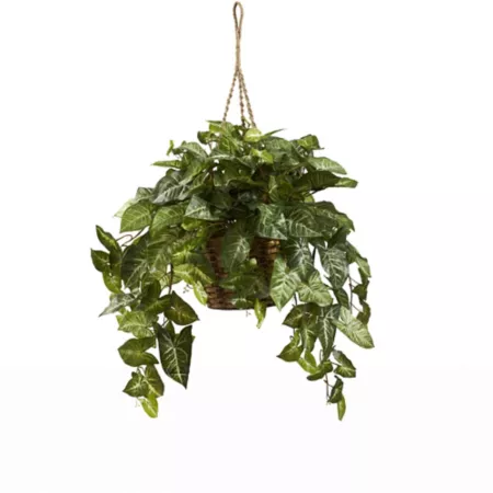 Nephthytis 20" Almost Natural Hanging Basket Artificial Plants & Flowers