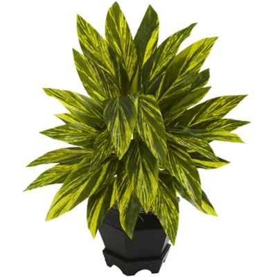 Nearly Natural 20 in. Ginger Plant with Black Planter