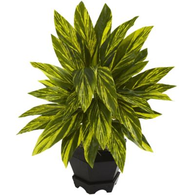 Nearly Natural 20 in. Artificial Ginger Plant in Black Planter