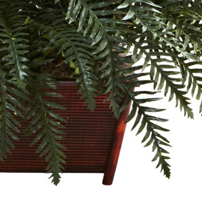 Image showing  29 in. Artificial River Fern in Wooden Planter