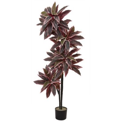 Image showing  54 in. Caladium Silk Plant