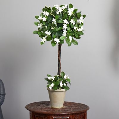 Image showing  3 ft. Artificial Stephanotis Topiary in Planter