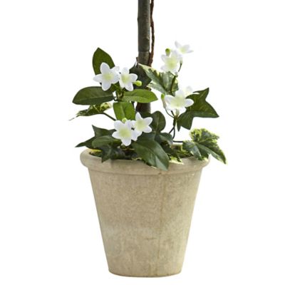 Image showing  3 ft. Artificial Stephanotis Topiary in Planter
