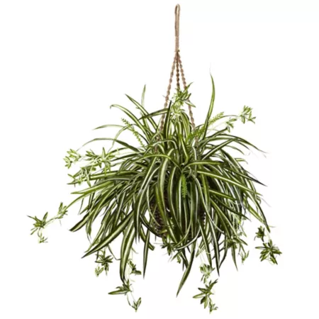 Nearly Natural 20" Artificial Spider Plant Hanging Basket Artificial Plants & Flowers