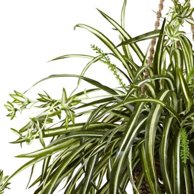 Image showing  20 in. Artificial Spider Plant in Hanging Basket