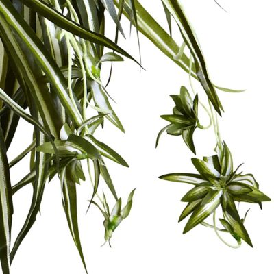 Image showing  20 in. Artificial Spider Plant in Hanging Basket