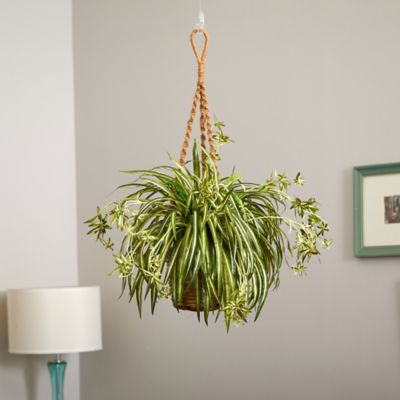 Image showing  20 in. Artificial Spider Plant in Hanging Basket