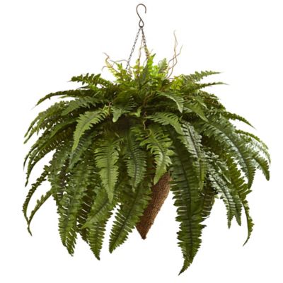 Nearly Natural 26 in. Artificial Giant Boston Fern in Cone Hanging Basket