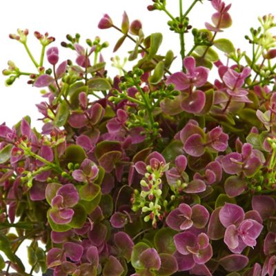 Image showing  13 in. Artificial Sedum and Eucalyptus Plant in Planter