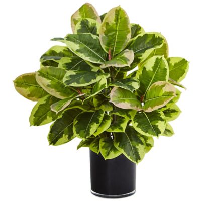 Nearly Natural 24 in. Artificial Rubber Plant in Glossy Cylinder Planter, Real Touch Feel