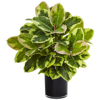 Nearly Natural 24 in. Artificial Rubber Plant with Real Touch in Glossy Cylinder Planter